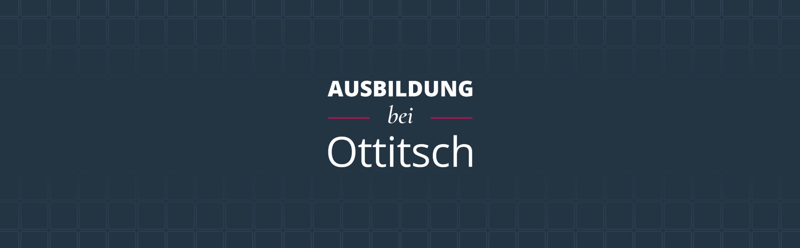 Grafik mit dem Text ‚Ausbildung bei Ottitsch‘.